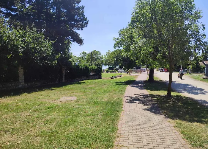 In 45330 Balatonudvari